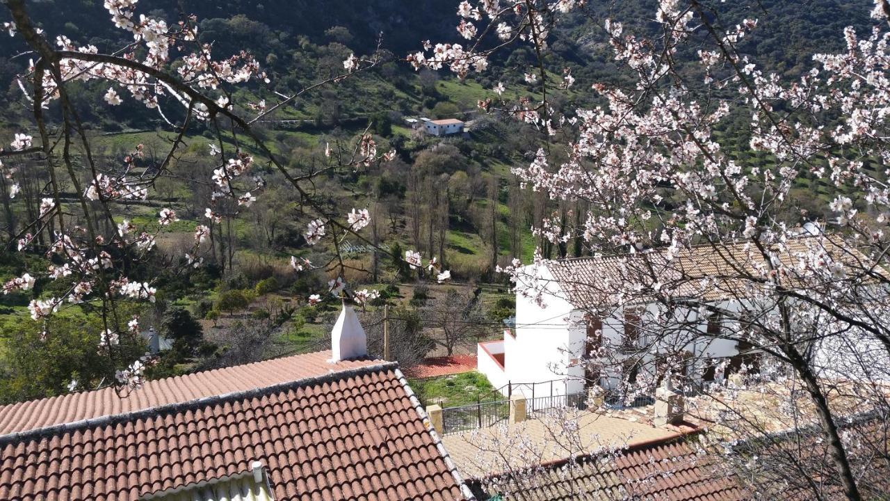 Appartamento Benamahoma Rural Esterno foto